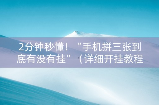 2分钟秒懂！“手机拼三张到底有没有挂”（详细开挂教程）-哔哩哔哩