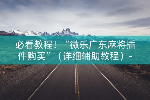 必看教程！“微乐广东麻将插件购买”（详细辅助教程）-哔哩哔哩