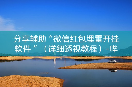 分享辅助“微信红包埋雷开挂软件 ”（详细透视教程）-哔哩哔哩