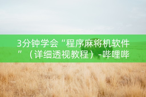 3分钟学会“程序麻将机软件”（详细透视教程）-哔哩哔哩