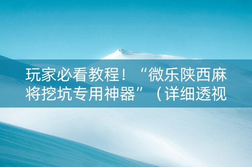 玩家必看教程！“微乐陕西麻将挖坑专用神器”（详细透视教程）-哔哩哔哩
