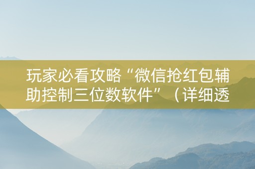 玩家必看攻略“微信抢红包辅助控制三位数软件”（详细透视教程）-哔哩哔哩
