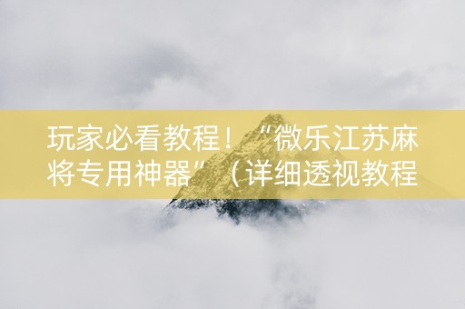 玩家必看教程！“微乐江苏麻将专用神器”（详细透视教程）-哔哩哔哩