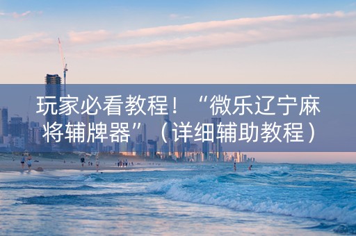 玩家必看教程！“微乐辽宁麻将辅牌器”（详细辅助教程）-哔哩哔哩