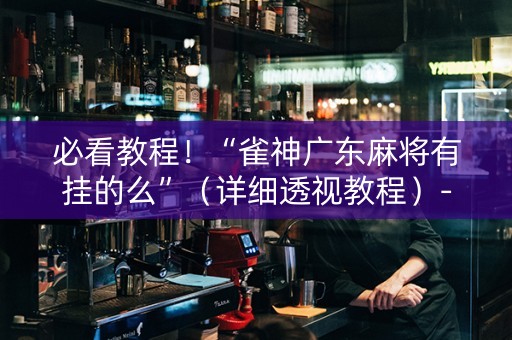 必看教程！“雀神广东麻将有挂的么”（详细透视教程）-哔哩哔哩