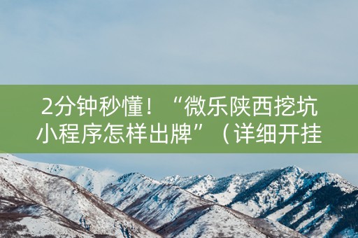 2分钟秒懂！“微乐陕西挖坑小程序怎样出牌”（详细开挂教程）-哔哩哔哩