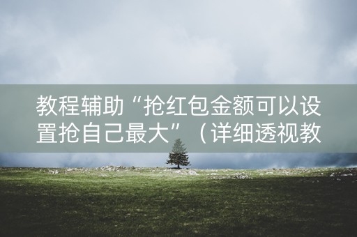 教程辅助“抢红包金额可以设置抢自己最大”（详细透视教程）-哔哩哔哩