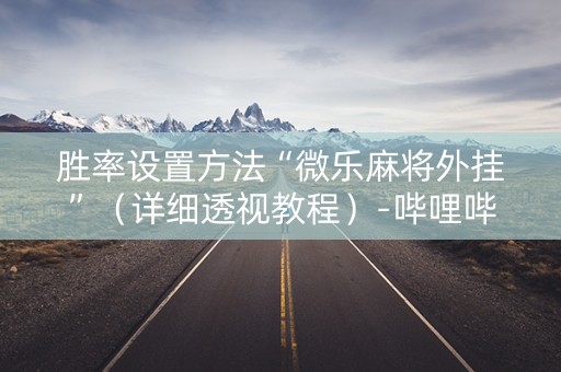 胜率设置方法“微乐麻将外挂”（详细透视教程）-哔哩哔哩