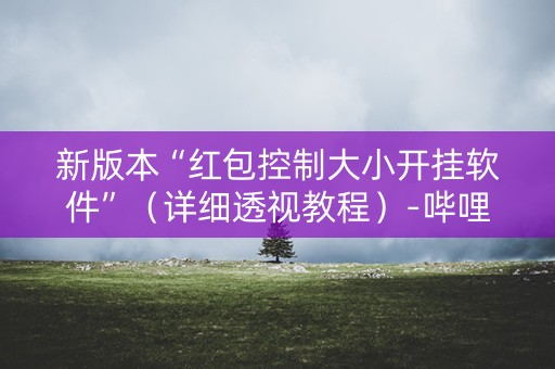 新版本“红包控制大小开挂软件”（详细透视教程）-哔哩哔哩