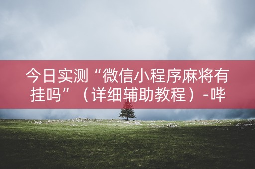 今日实测“微信小程序麻将有挂吗”（详细辅助教程）-哔哩哔哩