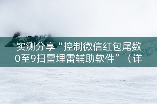 实测分享“控制微信红包尾数0至9扫雷埋雷辅助软件”（详细透视教程）-哔哩哔哩