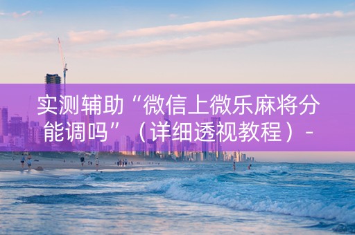 实测辅助“微信上微乐麻将分能调吗”（详细透视教程）-哔哩哔哩
