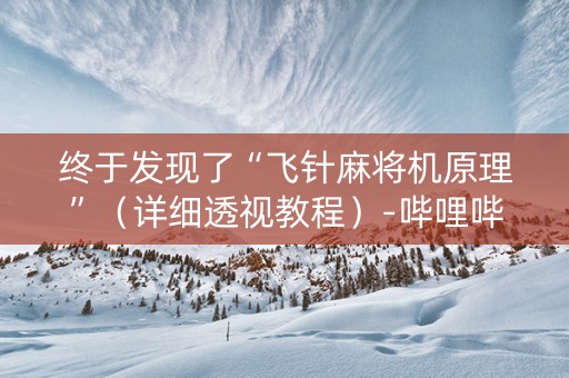 终于发现了“飞针麻将机原理”（详细透视教程）-哔哩哔哩