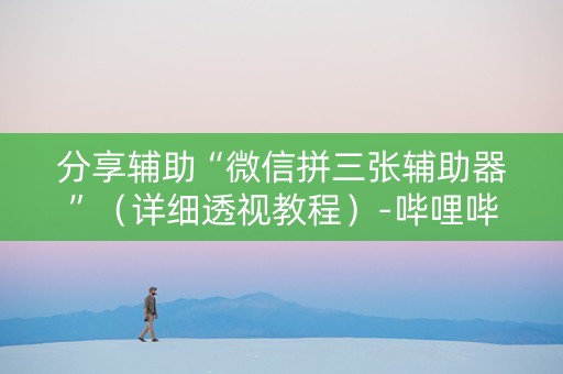 分享辅助“微信拼三张辅助器”（详细透视教程）-哔哩哔哩