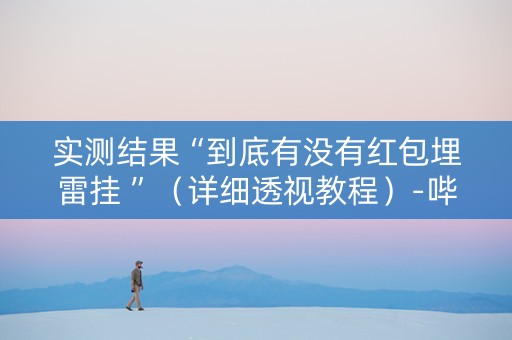 实测结果“到底有没有红包埋雷挂 ”（详细透视教程）-哔哩哔哩