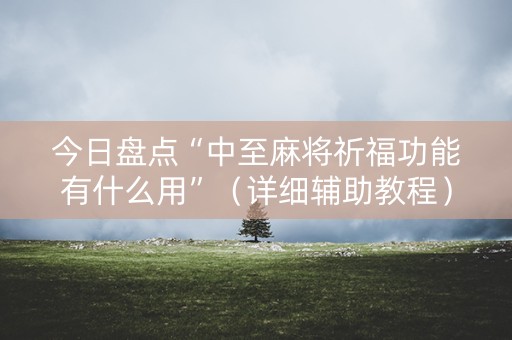 今日盘点“中至麻将祈福功能有什么用”（详细辅助教程）-哔哩哔哩