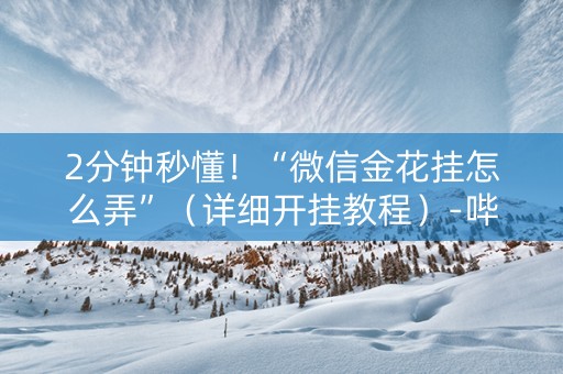 2分钟秒懂！“微信金花挂怎么弄”（详细开挂教程）-哔哩哔哩