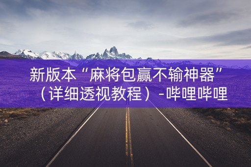 新版本“麻将包赢不输神器”（详细透视教程）-哔哩哔哩