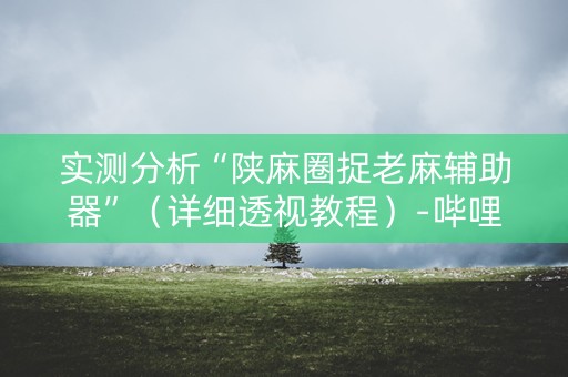 实测分析“陕麻圈捉老麻辅助器”（详细透视教程）-哔哩哔哩