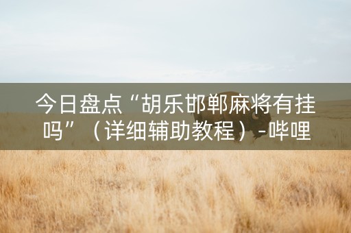 今日盘点“胡乐邯郸麻将有挂吗”（详细辅助教程）-哔哩哔哩