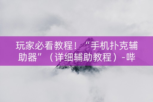 玩家必看教程！“手机扑克辅助器”（详细辅助教程）-哔哩哔哩