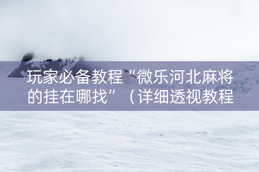 玩家必备教程“微乐河北麻将的挂在哪找”（详细透视教程）-哔哩哔哩