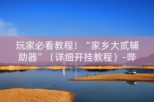 玩家必看教程！“家乡大贰辅助器”（详细开挂教程）-哔哩哔哩