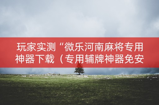 玩家实测“微乐河南麻将专用神器下载（专用辅牌神器免安装）