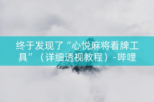 终于发现了“心悦麻将看牌工具”（详细透视教程）-哔哩哔哩