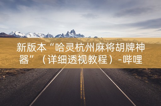 新版本“哈灵杭州麻将胡牌神器”（详细透视教程）-哔哩哔哩