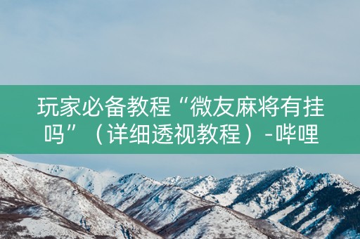 玩家必备教程“微友麻将有挂吗”（详细透视教程）-哔哩哔哩