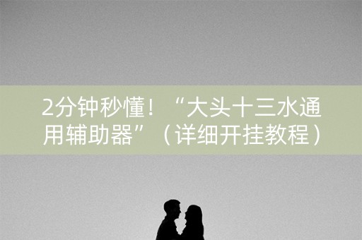 2分钟秒懂！“大头十三水通用辅助器”（详细开挂教程）-哔哩哔哩