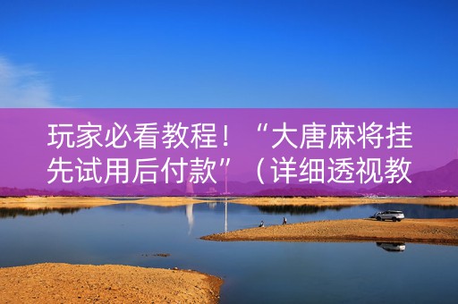 玩家必看教程！“大唐麻将挂先试用后付款”（详细透视教程）-哔哩哔哩