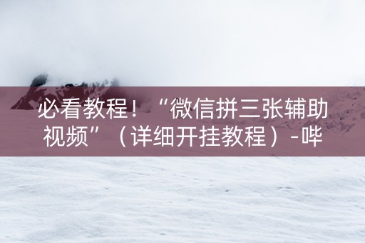 必看教程！“微信拼三张辅助视频”（详细开挂教程）-哔哩哔哩
