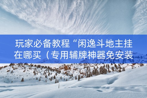 玩家必备教程“闲逸斗地主挂在哪买（专用辅牌神器免安装）