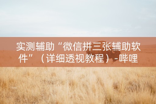 实测辅助“微信拼三张辅助软件”（详细透视教程）-哔哩哔哩