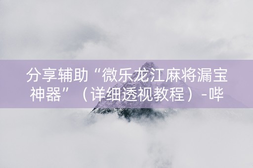 分享辅助“微乐龙江麻将漏宝神器”（详细透视教程）-哔哩哔哩