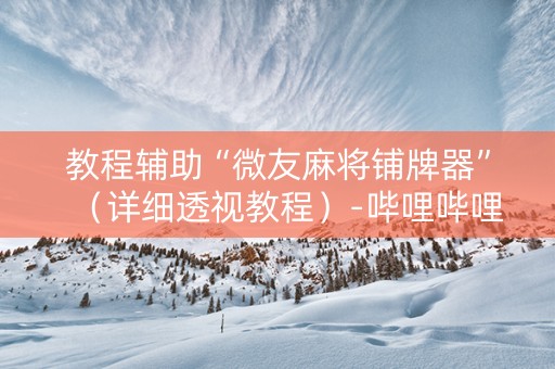 教程辅助“微友麻将铺牌器”（详细透视教程）-哔哩哔哩
