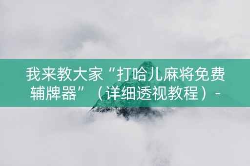 我来教大家“打哈儿麻将免费辅牌器”（详细透视教程）-哔哩哔哩