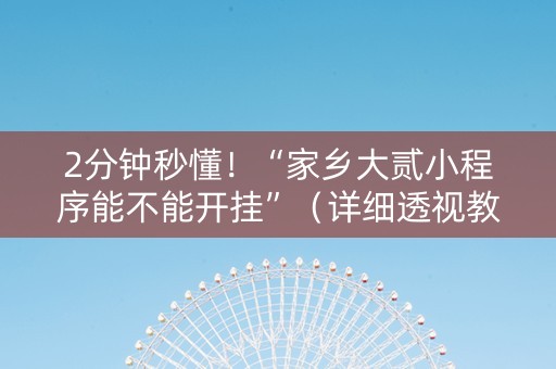 2分钟秒懂！“家乡大贰小程序能不能开挂”（详细透视教程）-哔哩哔哩