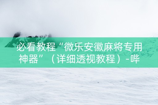 必看教程“微乐安徽麻将专用神器”（详细透视教程）-哔哩哔哩