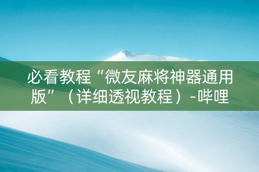 必看教程“微友麻将神器通用版”（详细透视教程）-哔哩哔哩