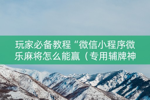玩家必备教程“微信小程序微乐麻将怎么能赢（专用辅牌神器免安装）