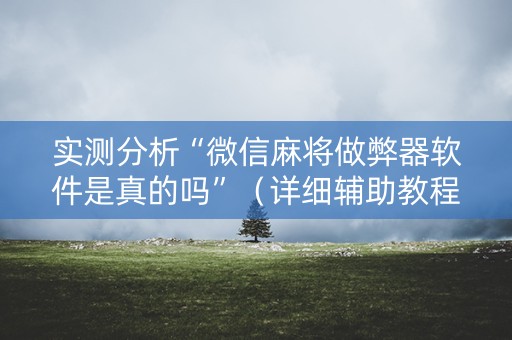 实测分析“微信麻将做弊器软件是真的吗”（详细辅助教程）-哔哩哔哩