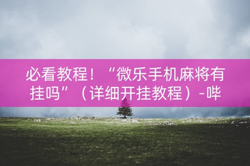 必看教程！“微乐手机麻将有挂吗”（详细开挂教程）-哔哩哔哩