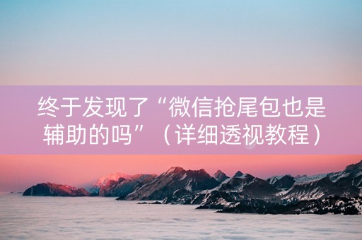 终于发现了“微信抢尾包也是辅助的吗”（详细透视教程）-哔哩哔哩
