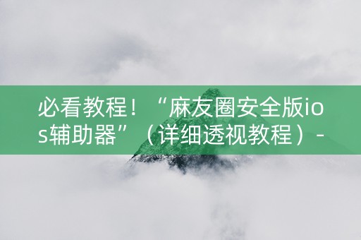 必看教程！“麻友圈安全版ios辅助器”（详细透视教程）-哔哩哔哩