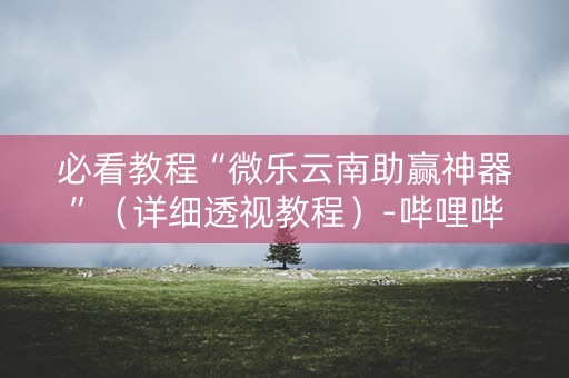 必看教程“微乐云南助赢神器”（详细透视教程）-哔哩哔哩