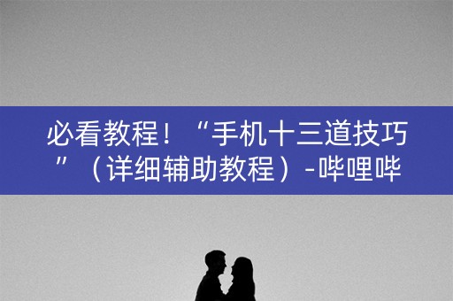 必看教程！“手机十三道技巧”（详细辅助教程）-哔哩哔哩