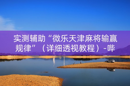 实测辅助“微乐天津麻将输赢规律”（详细透视教程）-哔哩哔哩